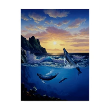 Anthony Casay 'Whales In A Seascape' Canvas Art,14x19